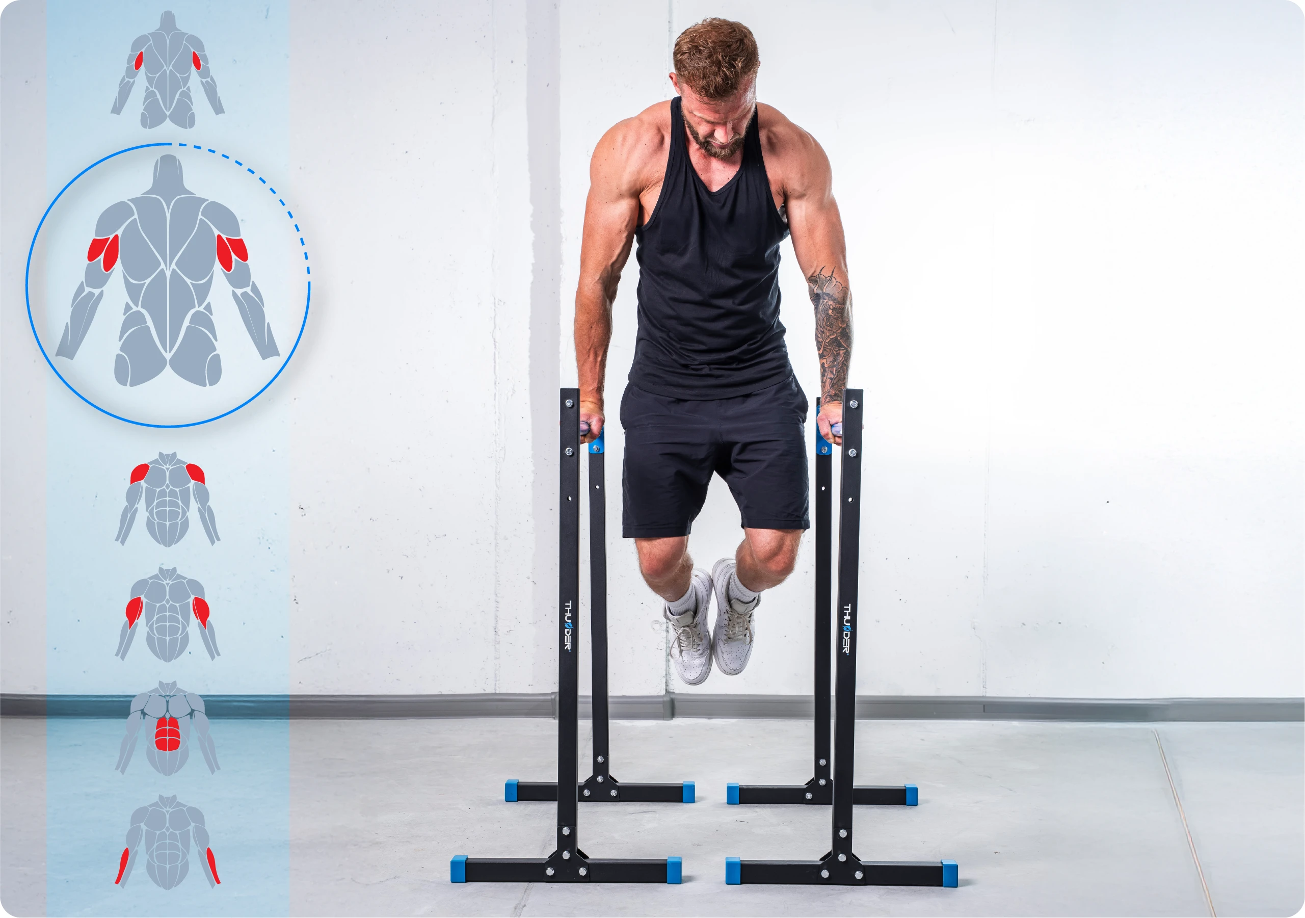 Pour qui sont les barres DIPSY