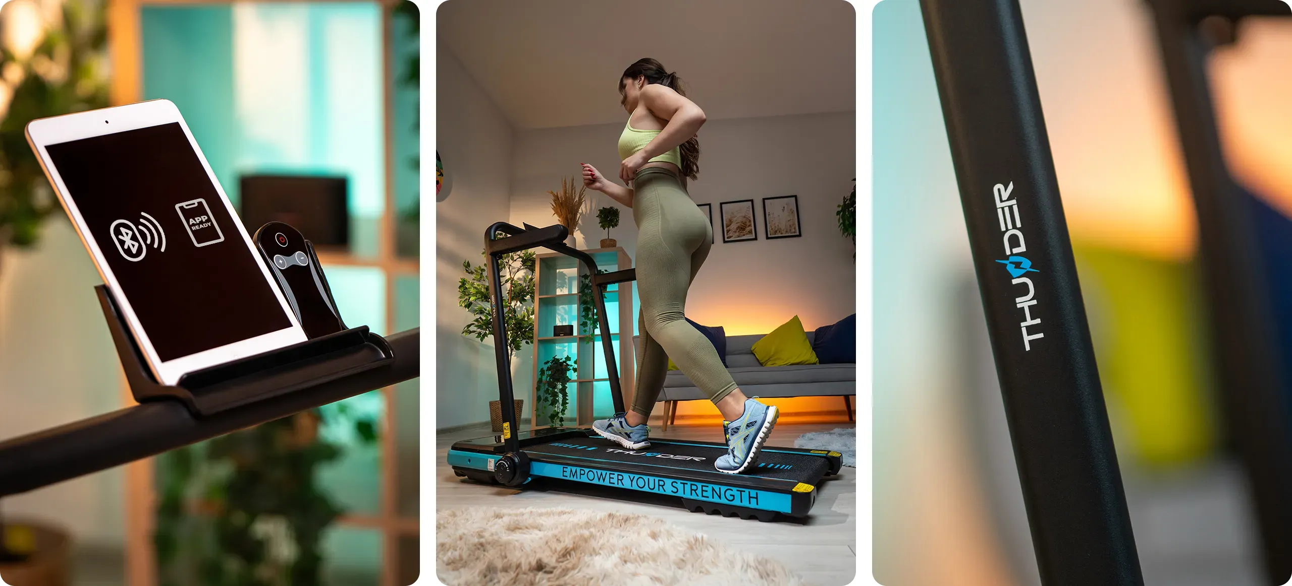 Ensemble IMPACT-BLUE