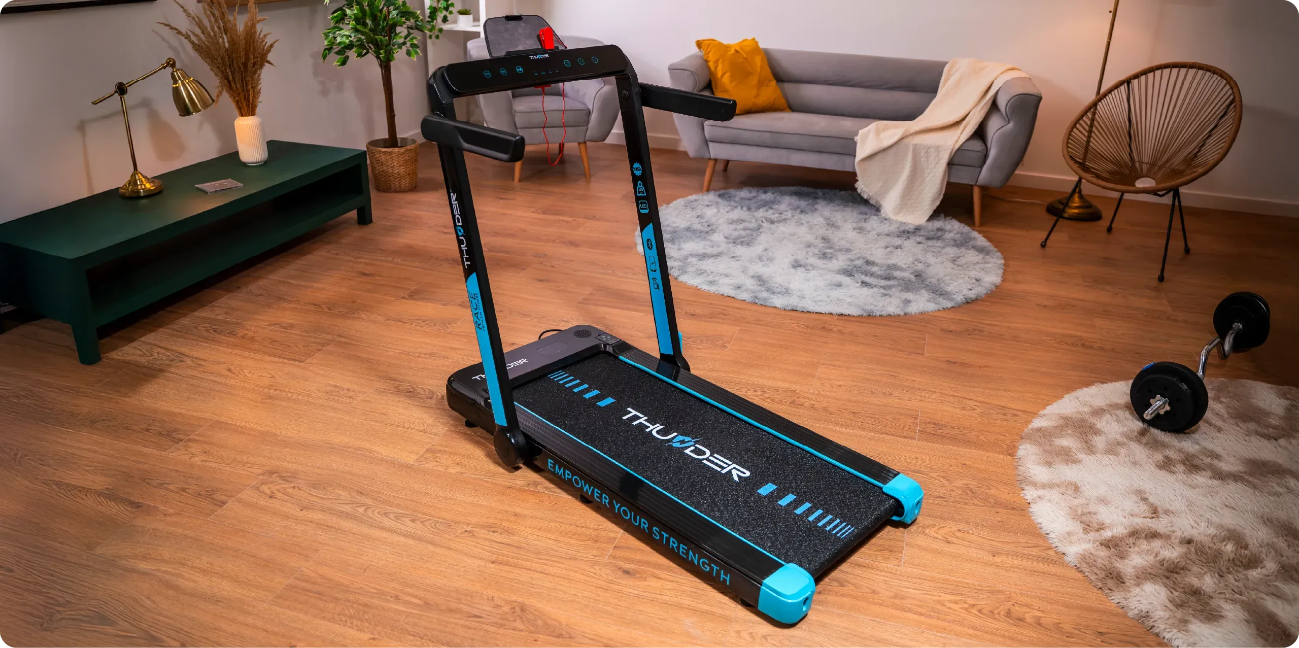 Race Black – en-tête