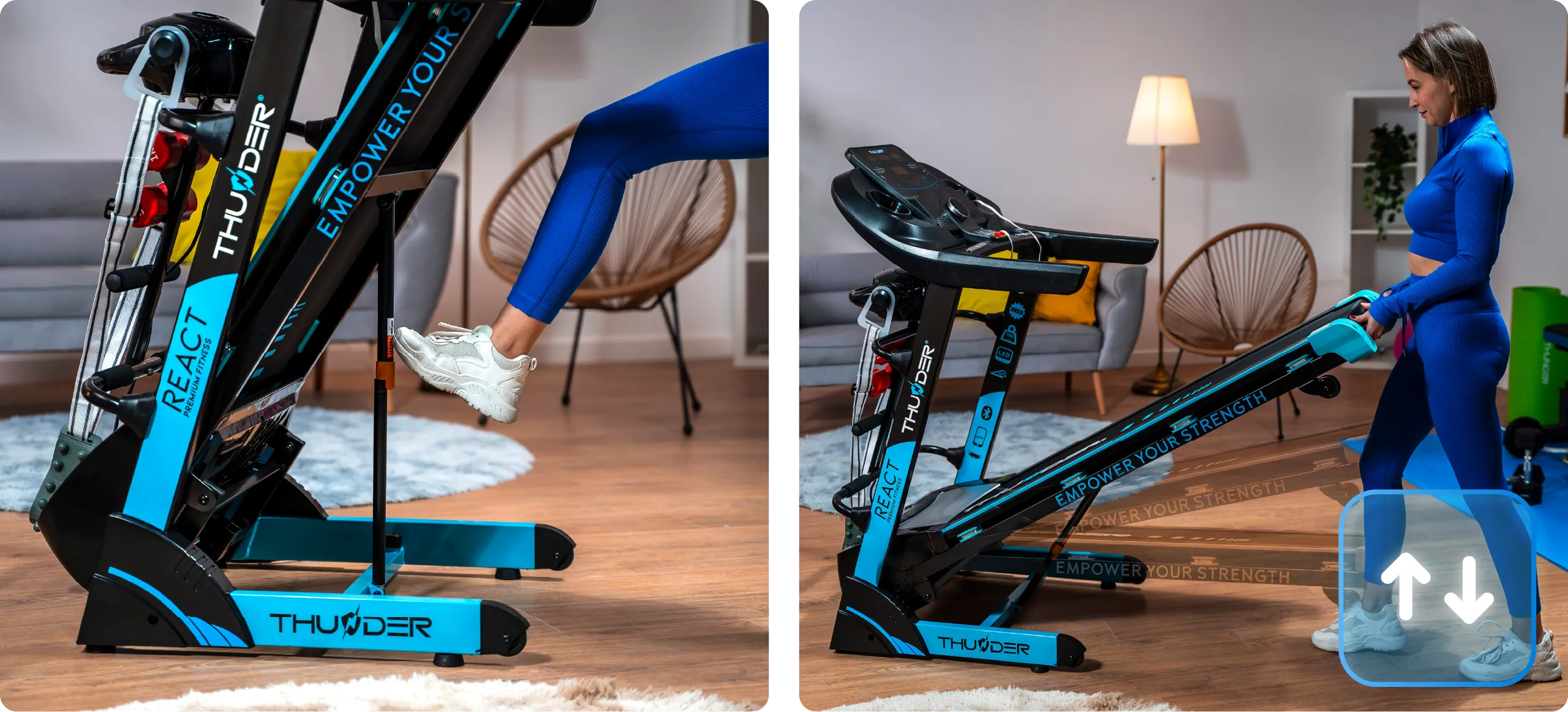 Ensemble REACT-DS-BLACK