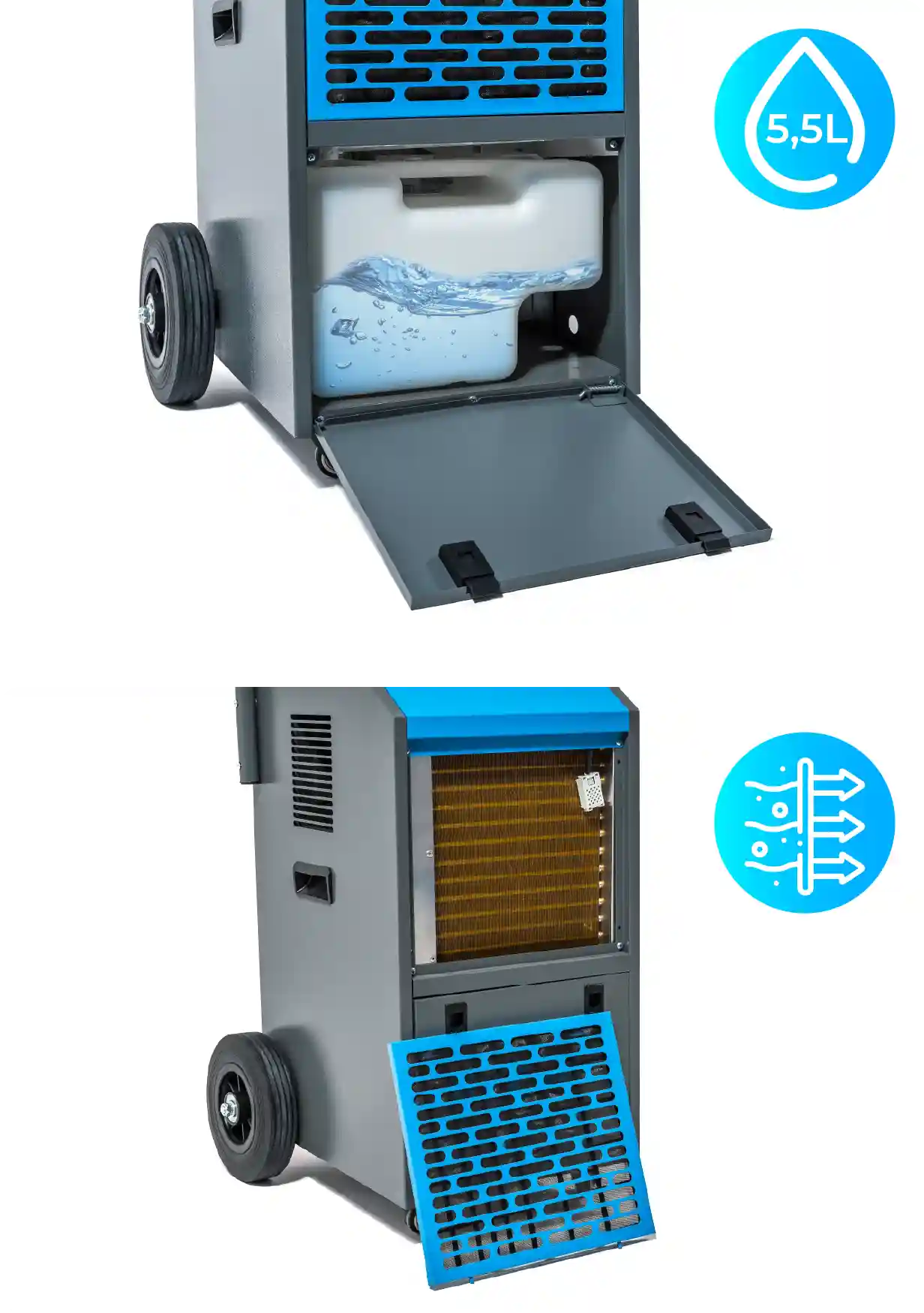 Najważniejsze cechy