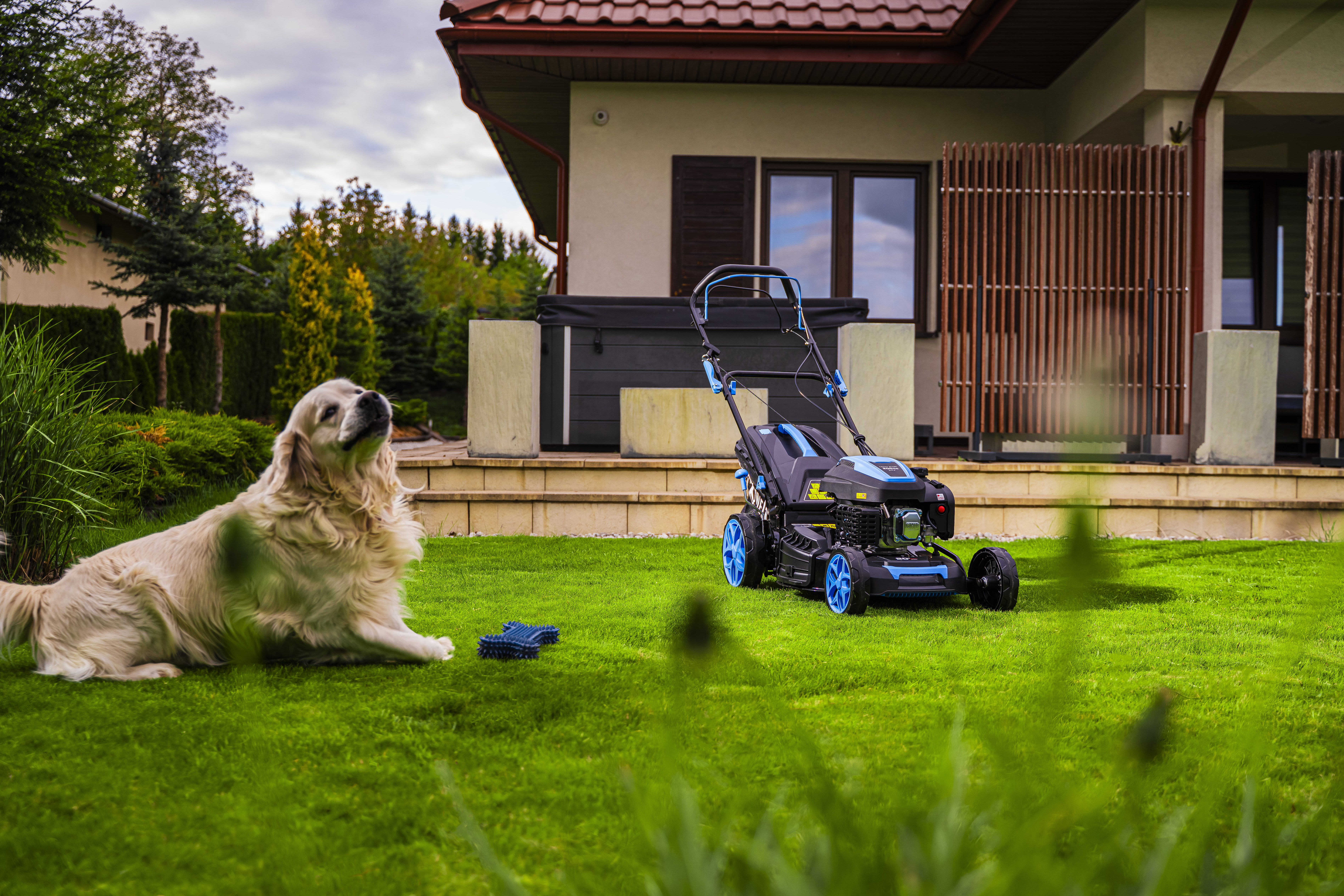Tondeuse Hexwelt et largeur de coupe
