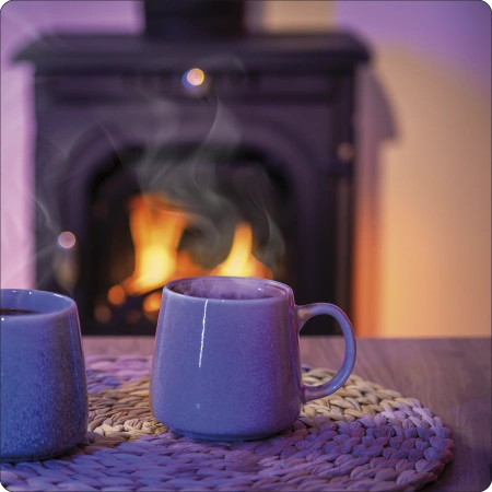 Poêle à bois en fonte AGNI 7 kW