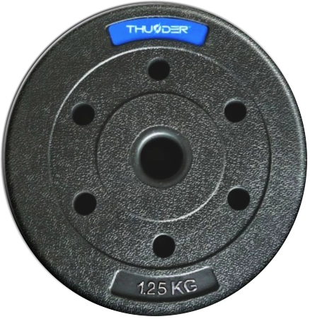 Ensemble de poids bitumineux de la marque THUNDER 6x5 kg + 8x2,5 kg + 8x1,25 kg