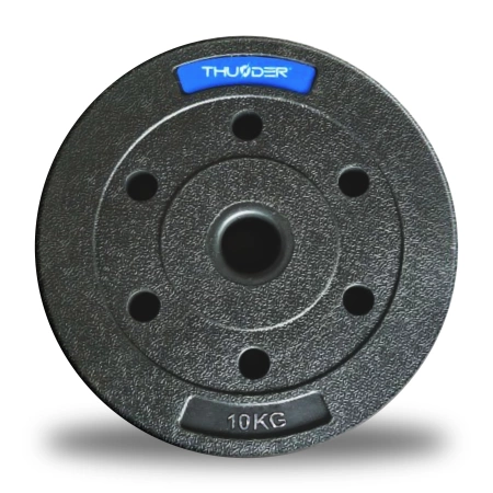 Ensemble de poids bitumineux de la marque THUNDER 2x10 kg